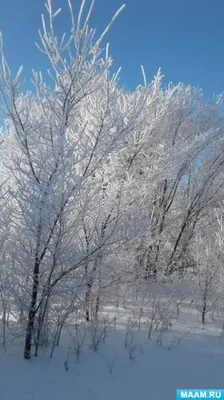 Фон рабочего стола где видно зимний пейзаж, природа, снег, деревья в снегу,  голубое небо, красивые обои, winter landscape, nature, snow, trees in the  snow, blue sky, beautiful wallpaper