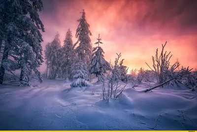 Красота зимней природы, зимний пейзаж…» — создано в Шедевруме