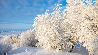 Зима природа обои на рабочий стол, фото зимы для рабочего стола