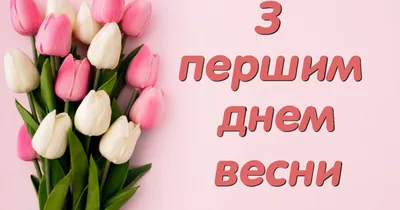 Казахстанцы в первый день весны отмечают День благодарности - el.kz