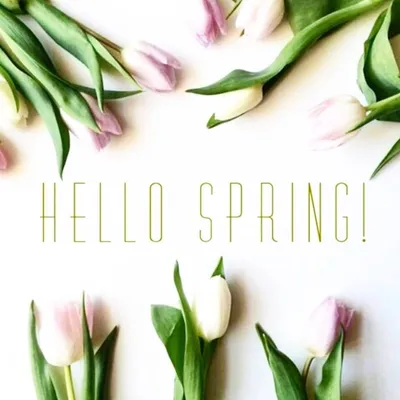 ВЕСНА ПРИШЛА Красивое поздравление с началом весны spring музыкальная видео  открытка Счастья и Любви | Весна, Открытки, Благодарственные открытки