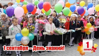 Купить плакат «Здравствуйте, школа» в Москве за ✓ 100 руб.