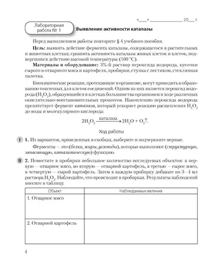 ИнтернетУрок | онлайн-школа 1-11 класс 2024 | ВКонтакте