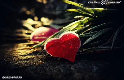 Открытки на 14 февраля - День святого Валентина от ИИ | Пикабу