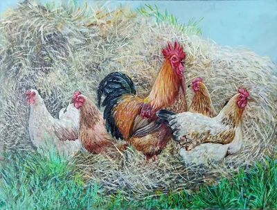 Farm Oil Painting. Hen and Roosters Original Hand Oil Painting 16х12” fine  art | eBay