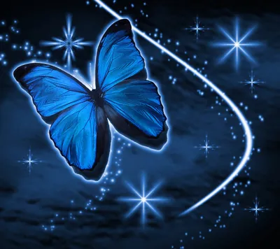 Rainbow Stars | Rainbow Butterflies | Butterfly wallpaper backgrounds,  Butterfly background, Butterfly wallpaper