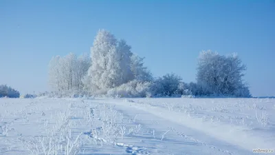 Зимний пейзаж рассвет (56 фото) - 56 фото
