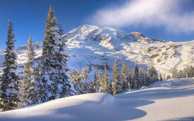 Snow Covered Trees and Mountain - linux-apps.com