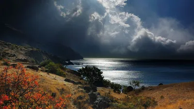 Download Wallpaper 1920x1080 Sea, Crimea, Sky, Grass, Beach, Night Full HD  1080p HD Background | Beautiful scenery photos, Scenery photos, Night  scenery