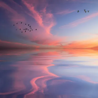 Lakeside Wallpaper 4K, Aesthetic, Pink sky, Sunset