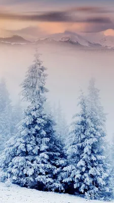 Зимние пейзажи» — набор обоев для Lumia 950 и 950 XL