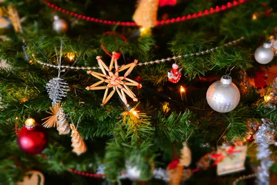 The unexpected pagan origins of popular Christmas traditions - CBS News