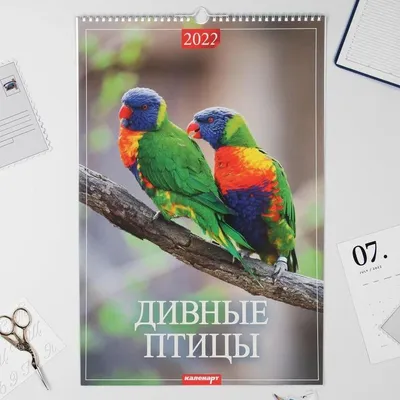 Календарь настенный перекидной 2024 год, 320х480 мм купить по цене 379 ₽ в  интернет-магазине KazanExpress