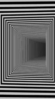 Обманул обман зрения: Нашел способ, как заставить оптическую иллюзию  вращаться в разные стороны | Жизнь в саду | Дзен