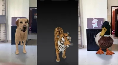 Развлечение на карантине: смотрим 3D животных в Google на iPhone |  AppleInsider.ru