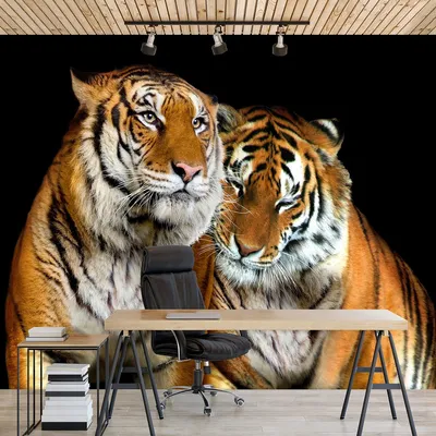 Дикая природа фотообои 254x184 см 3D Животные Два тигра Кошки (130P4)+клей  (ID#1754676617), цена: 850 ₴, купить на Prom.ua