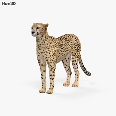 3D фигурки животных - создание различных фигурок по новой технике.