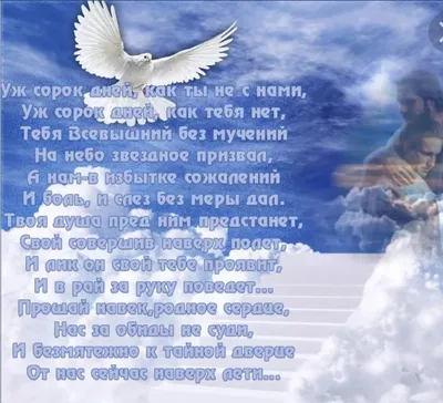 Сегодня 40 дней со дня смерти Пикабу | Пикабу