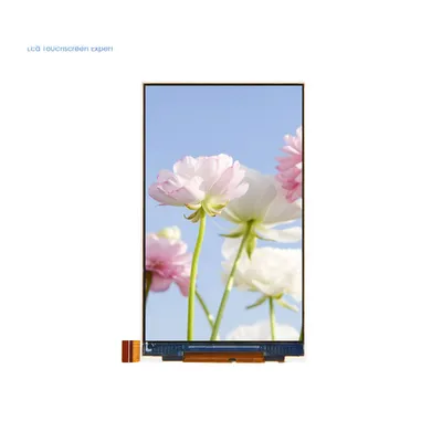 ESP32 S3 RGB LCD Screen Driver Board RGB565 LVGL 480x800 USB Camera -  AliExpress