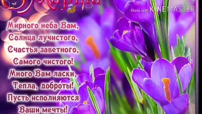 Настенька - поздравления с 8 марта, стихи, открытки, гифки, проза - Аудио,  от Путина, голосовые