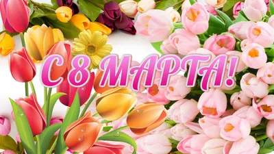 Скачать обои тюльпаны, 8 марта, tulips, поздравление, spring, женский день,  раздел праздники в разрешении 1920x1080