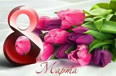 Открытка Поздравление и красивые тюльпаны на 8 марта - картинки, открытки с  поздравлениями