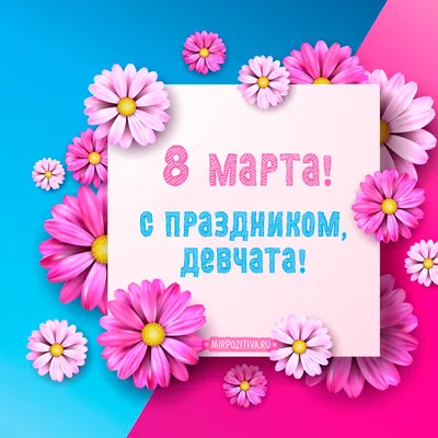 Милый подарок любимой жене, дочери, подруге на 8 марта набор носков с  мультяшками принтами 36-41 р 5 пар (ID#1876710087), цена: 360 ₴, купить на  Prom.ua