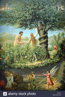 Original Sin, Adam and Eve in the Garden of Eden late c19th Stock Photo:  143326018 - Alamy | Adam and eve, Garden of eden, Biblical art
