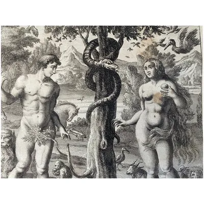 Adam and eve. The first man in the world who descended from heaven  #Sponsored , #advertisement, #AD, #eve, #heaven, #de… | Adam and eve, Easy  drawings, Illustration