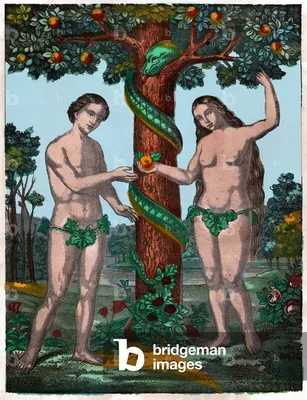 Image of Adam and Eve. (engraving, circa 1880) by French School, (19th  century)