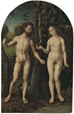 an old printed picture of Adam and Eve under the apple tree Stock Photo |  Adobe Stock
