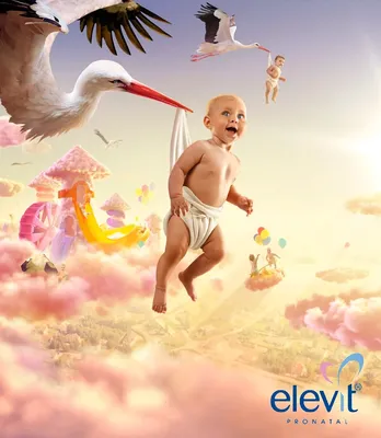 аист младенца Аист носит младенца в пеленке Иллюстрация вектора -  иллюстрации насчитывающей внимательность, влюбленность: 64316052