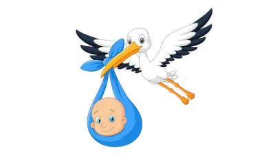Рождение ребенка, аист носит младенца Иллюстрация штока - иллюстрации  насчитывающей приглашение, конструкция: 154503796