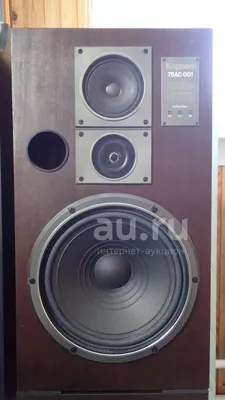 System Audio SA legend 40.2: описание, цена, обзоры - Напольные акустические  системы - Barnsly.ru