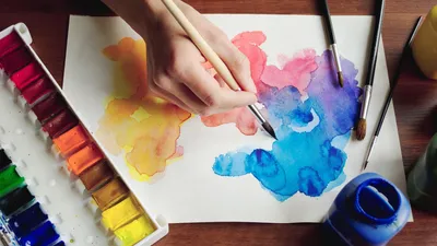 Акварель: где научиться ей рисовать, как выбрать краски, кисти и бумагу,  что еще нужно купить для начинающих