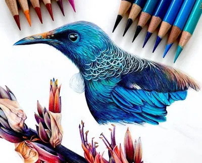 Акварельные карандаши и как ими рисовать