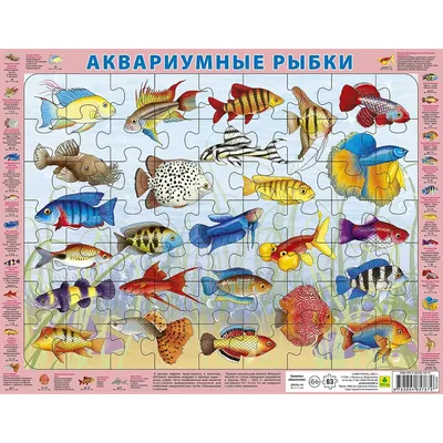 Купить Пакет для транспортировки аквариумных рыбок магазине ammania.ru -  Доставка Почтой России