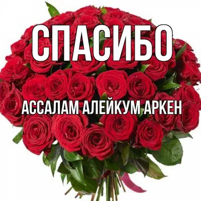 ассаламу алейкум текст PNG , Assalamualaikum, Сала, Текст PNG картинки и  пнг рисунок для бесплатной загрузки