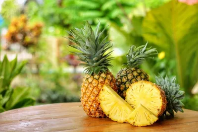 Комнатный ананас: уход и выращивание в домашних условиях, размножение
