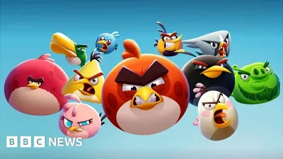 Angry Birds | Espoo