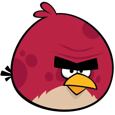 The Angry Birds Movie' review