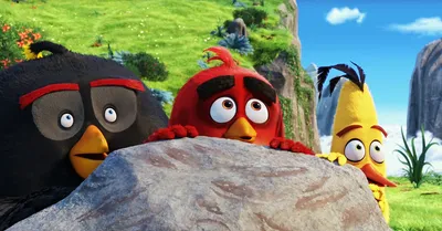 Movie Review: 'The Angry Birds Movie' Is a Naked Cash Grab—and a Surprising  Allegory for Modern Life - The Atlantic