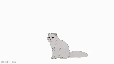 Анимация кошки | Татьяна карцева - YouTube