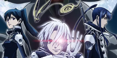 What Happened to the D Gray Man Anime?
