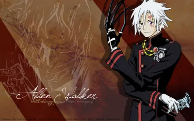 Anime D.Gray-man HD Wallpaper