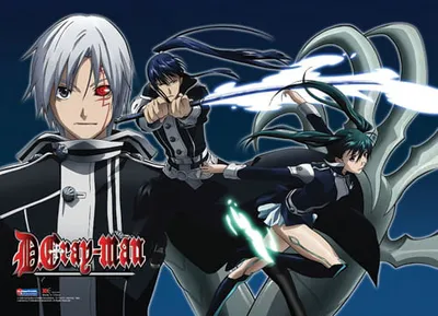 wall scroll - d gray man - new allen/kanda/lenalee battle anime art ge5231  - Walmart.com