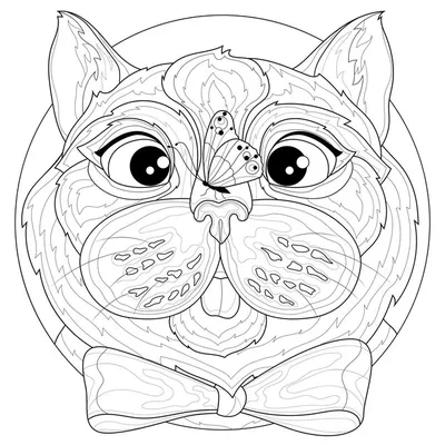 Игрушка антистресс мялка тянучка Кот, Кошка, Котик 6 шт / Для девочки, для  детей - купить с доставкой по выгодным ценам в интернет-магазине OZON  (828491174)