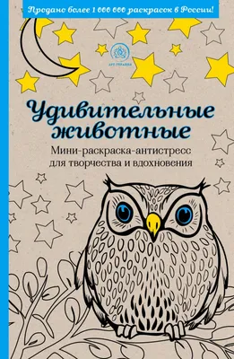 Раскраски антистресс, Раскраска антистресс белка Дикие животные.