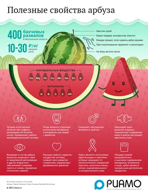 Полезные свойства арбуза - Ульяновский областной центр профессиональной  паталогии им. Максимчука В.М.