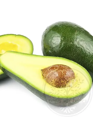 Авокадо – фрукт, ягода или овощ, польза и вред для человека